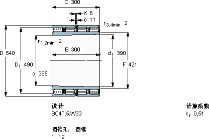 SKF313041 C轴承图纸
