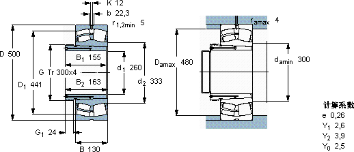 SKF22256 CCK/W33 + AOH 2256 G *轴承图纸