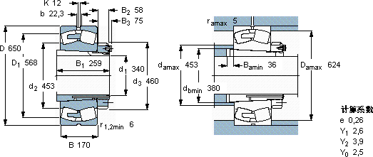 SKF22272 CAK/W33 + OH 3172 H *轴承图纸