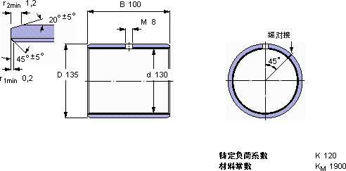 SKFPCM 130135100 M轴承图纸
