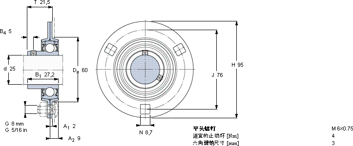SKFPF 25 RM轴承图纸