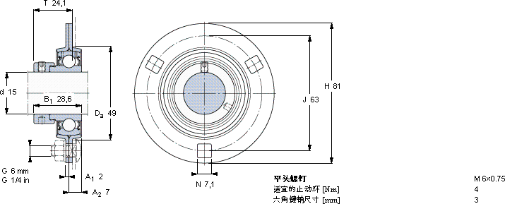 SKFPF 15 FM轴承图纸