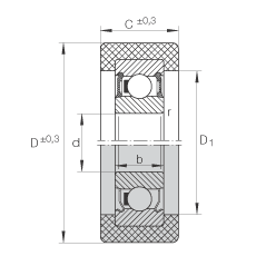 INA滚轮 KLRZ12X41X16-2RSR, 带塑料箍，两侧密封