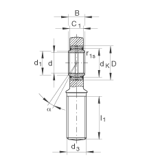 INA杆端轴承 GAR60-DO-2RS, 根据 DIN ISO 12 240-4 标准，带右旋外螺纹，需维护，两侧唇密封