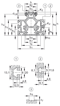 INA导轨 LFS52-M, 中空截面轮廓，带安装槽，带两根轨道轴；可提供耐腐蚀设计